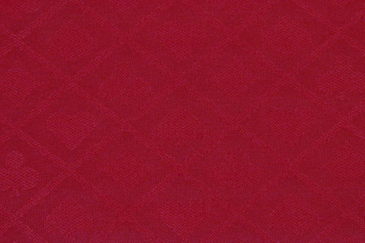 Suited Speed Cloth - Red
